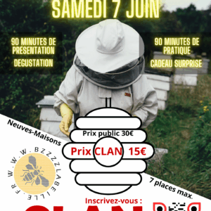 SORTIE APICOLE