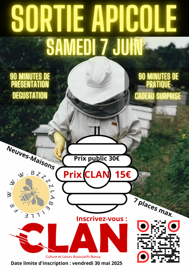 SORTIE APICOLE