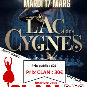 Spectacle - Le lac des cygnes